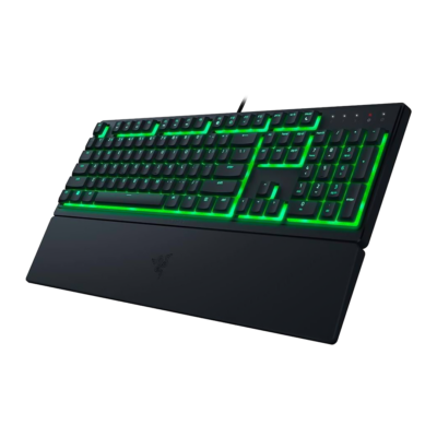 RAZER ORNATA V3 X