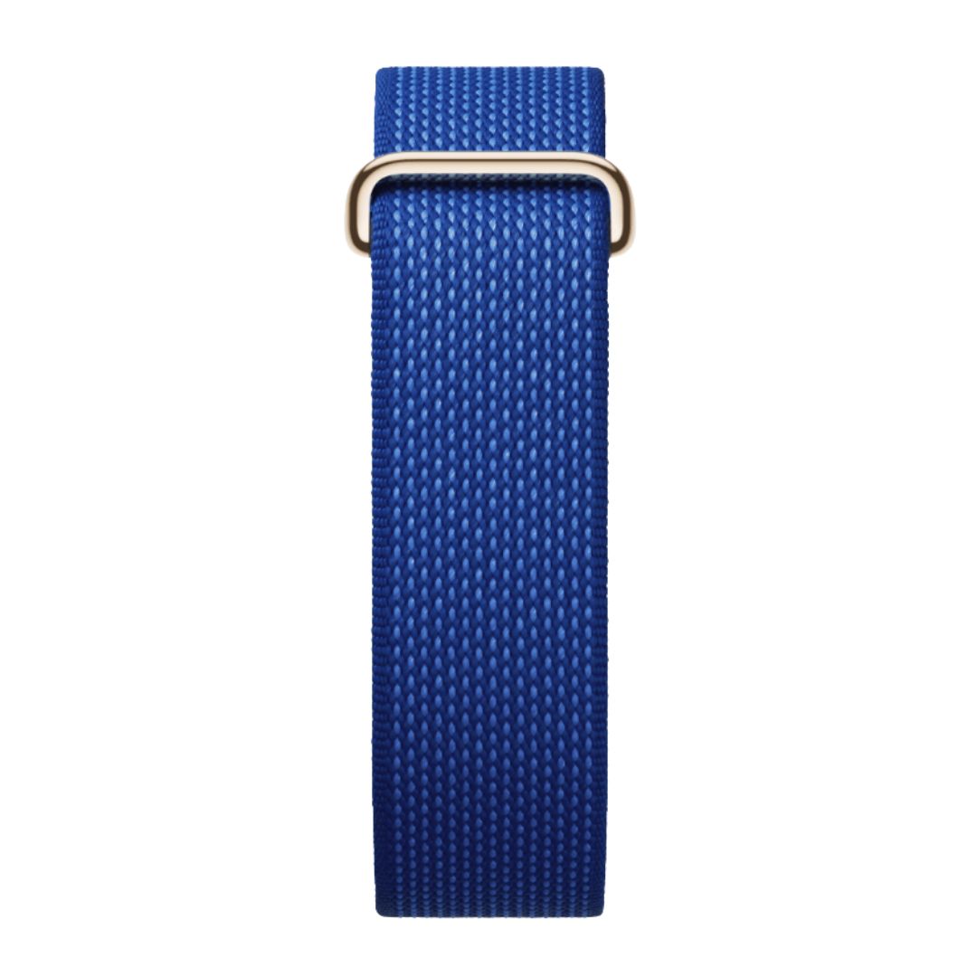 Google Fitbit Air Pokemon Sleep