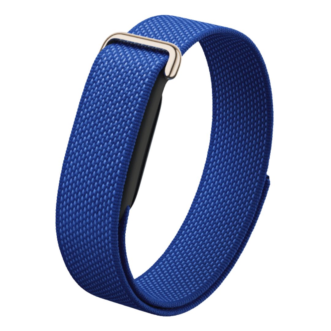 Google Fitbit Air Pokemon Sleep